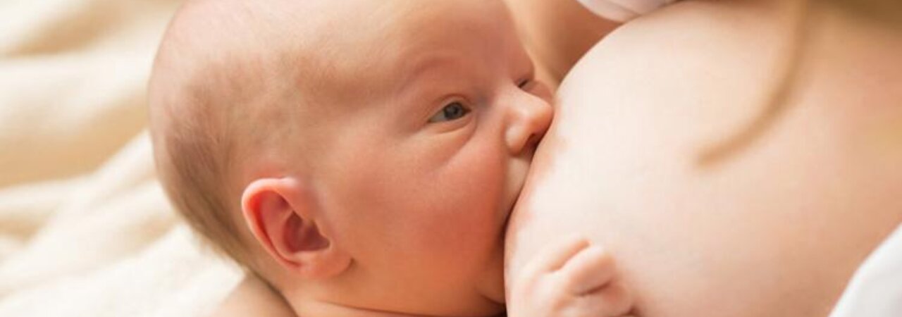 A newborn baby nursing on large breasts.