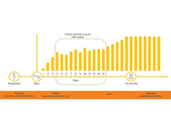 Een illustratie van Medela over “Tot volume komen is een indicator voor de effectiviteit van de interventies om effectieve initiatie te ondersteunen”.