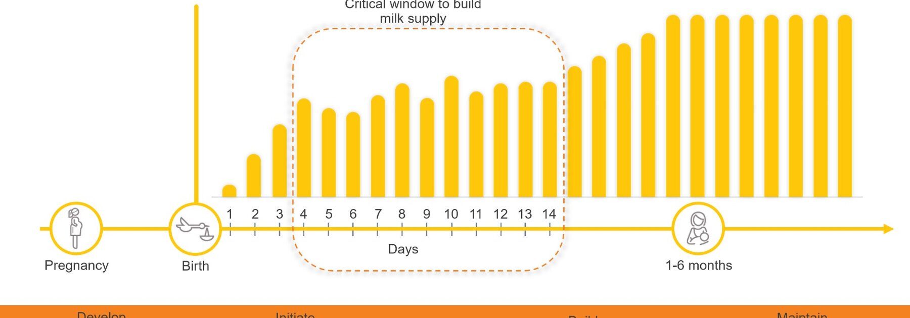 Een illustratie van Medela over “Tot volume komen is een indicator voor de effectiviteit van de interventies om effectieve initiatie te ondersteunen”.
